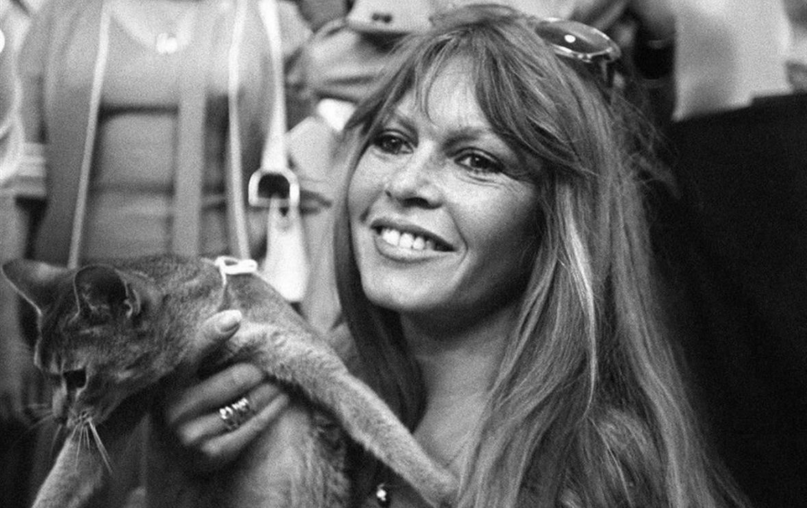 Murió Brigitte Bardot, icono del cine francés, a los 91 años