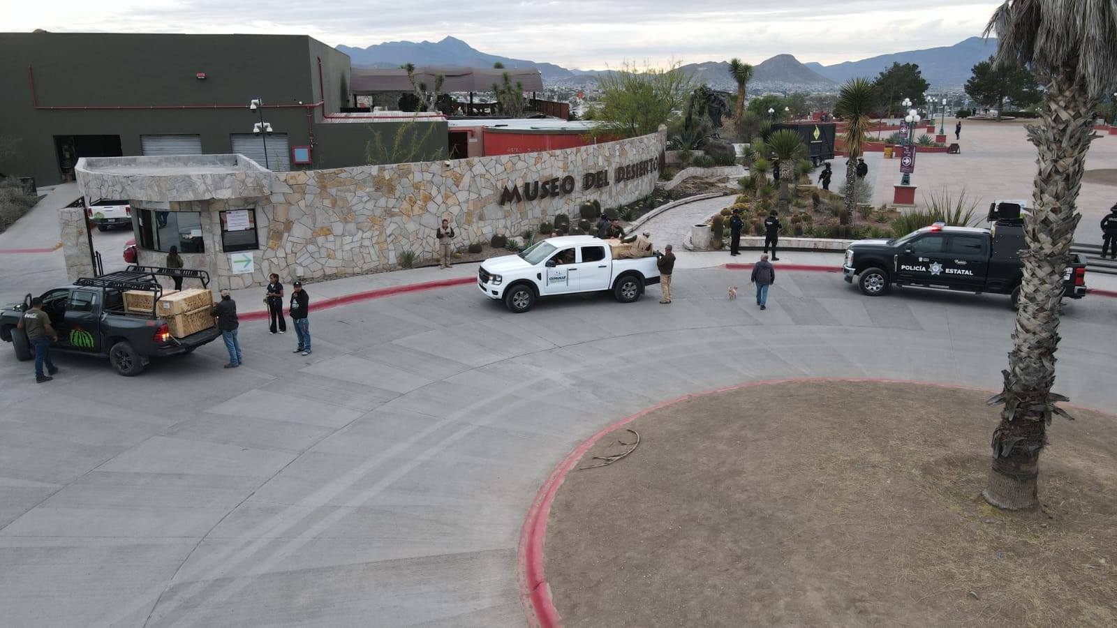 Recibe Coahuila a cuatro ejemplares de lobo gris