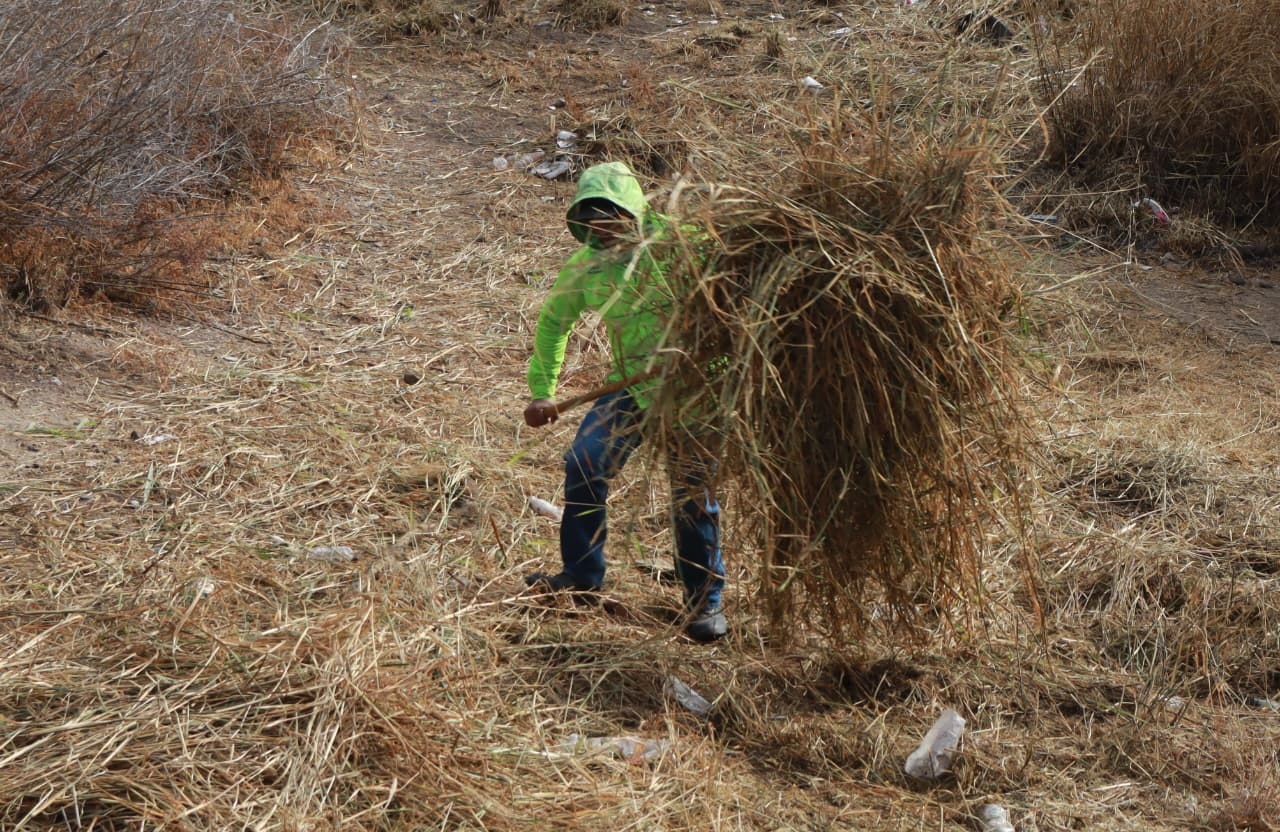 Desazolva y limpia Saltillo tramo del Arroyo del Pueblo