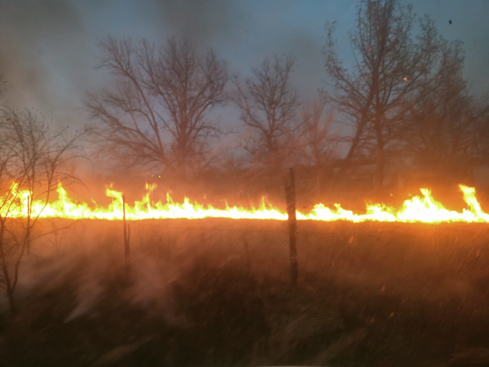 Sofocan incendio forestal en Múzquiz