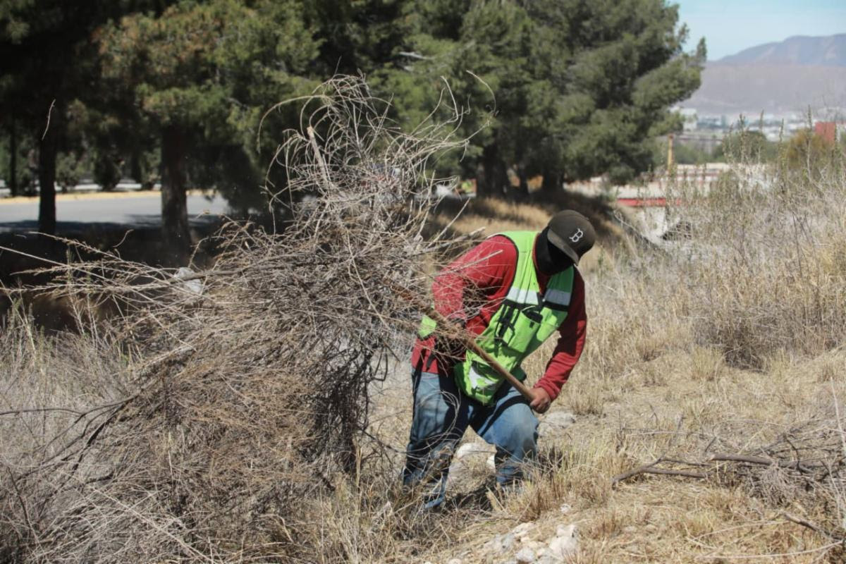 Refuerza Javier Díaz labores de limpieza en los arroyos