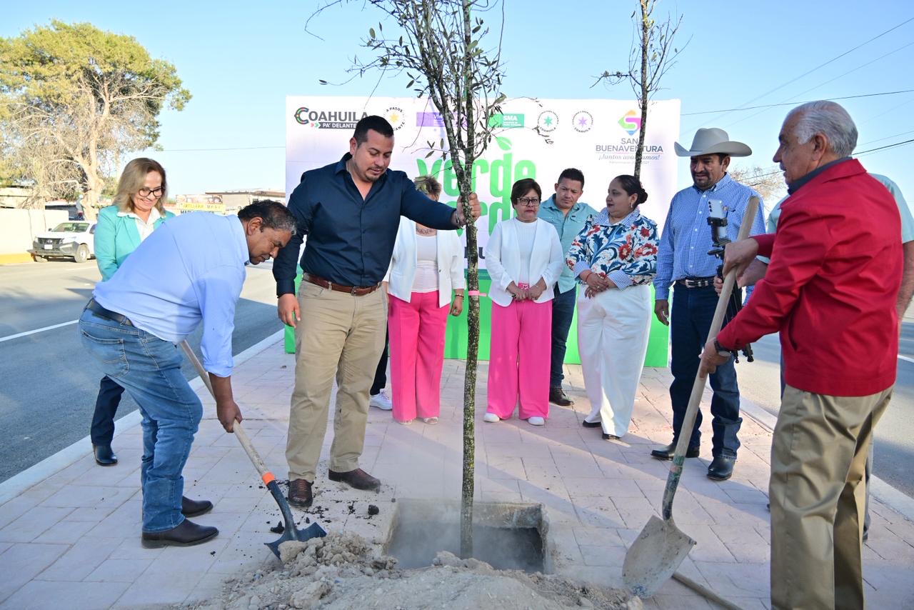 REFORESTAN CAMELLÓN CENTRAL EN SAN BUENA