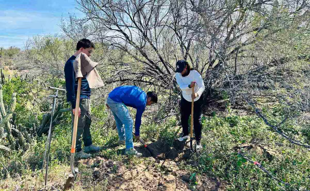 Colectivos de búsqueda documentan al menos 20 personas desaparecidas en Baja California Sur; la mayoría son jóvenes