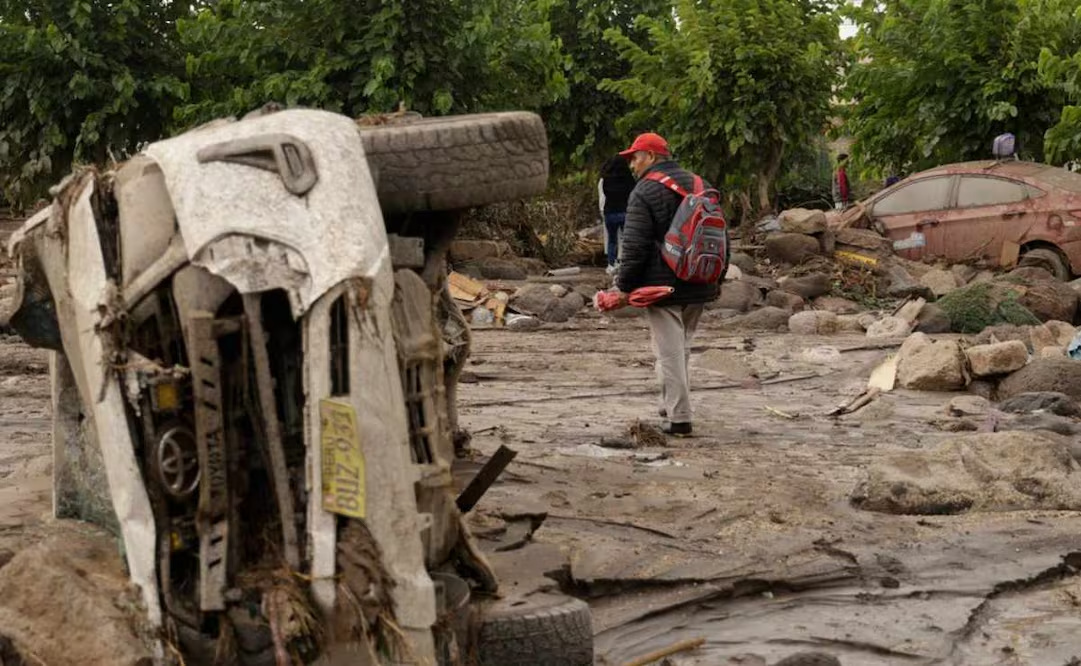 Lomito, el único sobreviviente de accidente aéreo que dejó 15 muert0s en Perú; víctimas eran militares y sus familias