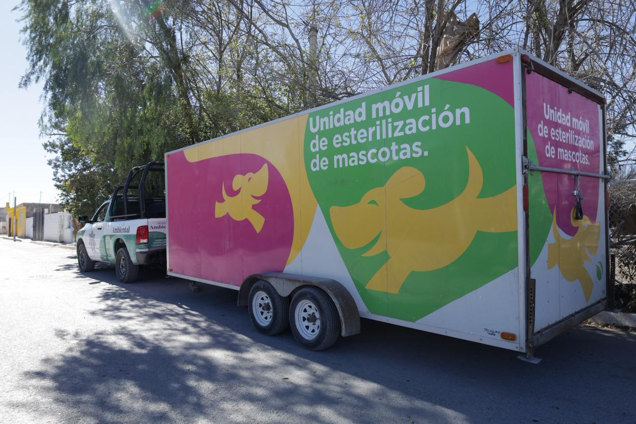 Fortalece Parras el bienestar animal con campaña permanente de esterilización