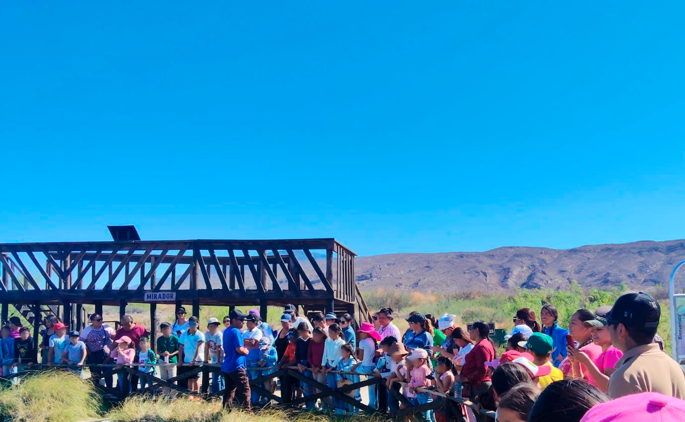 Fomentan en niñas y niños el amor por Cuatro Ciénegas
