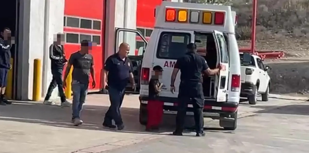 Muerde víbora de cascabel a niño de 8 años de edad