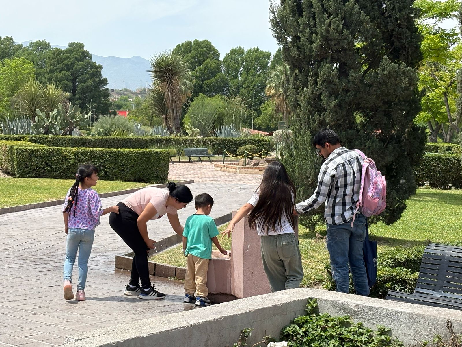 Se registra este viernes el equinoccio de primavera