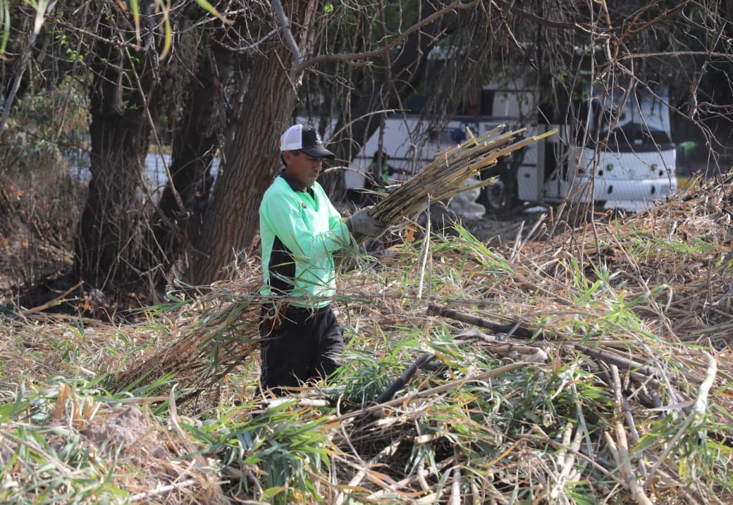 Instruye Javier Díaz limpieza profunda en el arroyo Los Ojitos