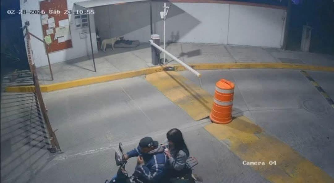 Hallan sin vida a Ana Karen Nute Téllez en Edomex