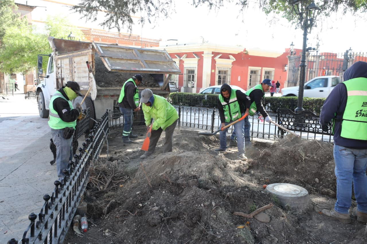 Embellece Municipio de Saltillo áreas verdes de la Plaza de Armas