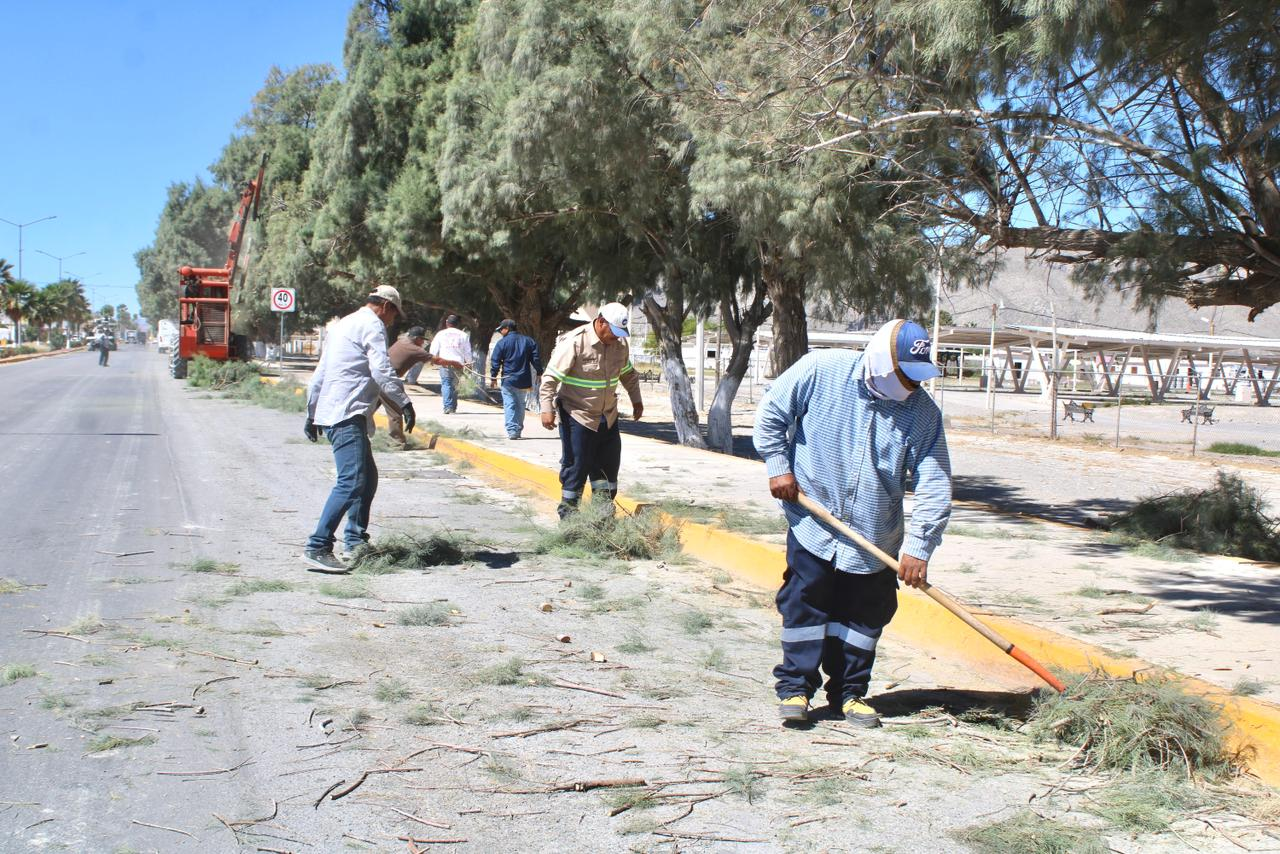 Avanza Cuatro Ciénegas en mantenimiento urbano y seguridad peatonal
