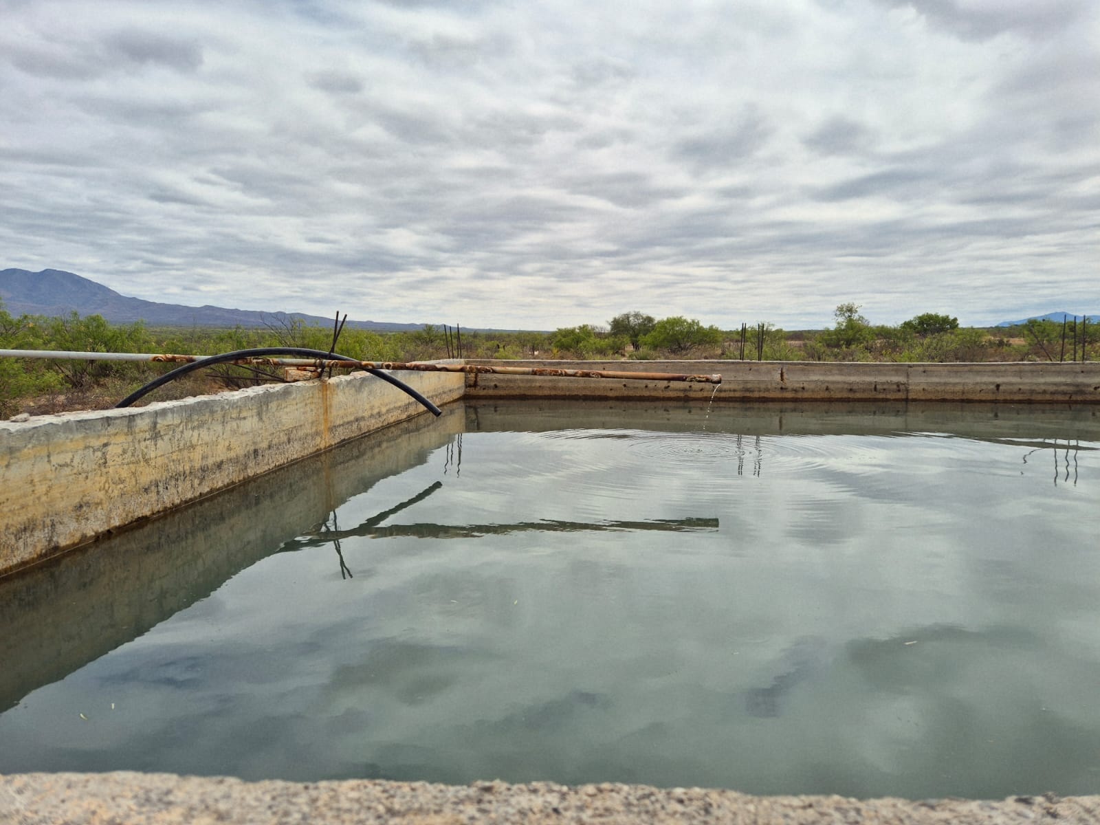FORTALECE YESICA ABASTO DE AGUA EN EJIDO EL MÁRQUEZ
