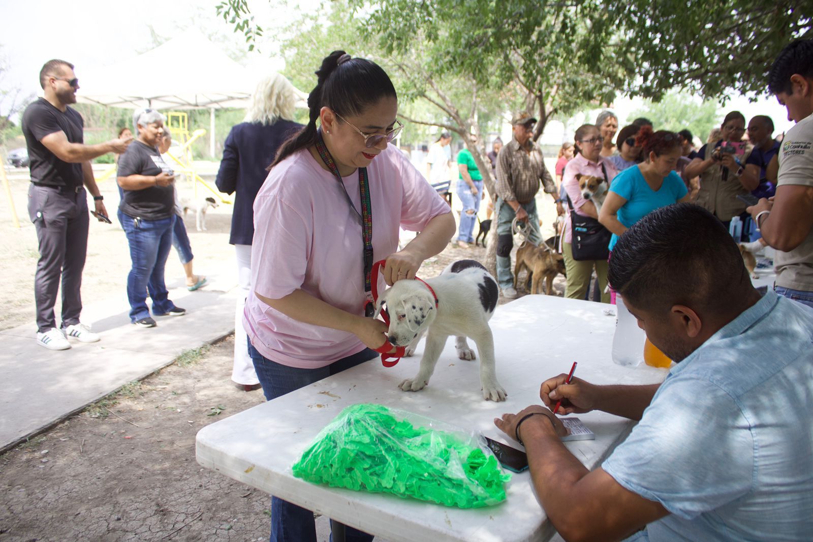 Inicia Laura campaña veterinaria en Múzquiz