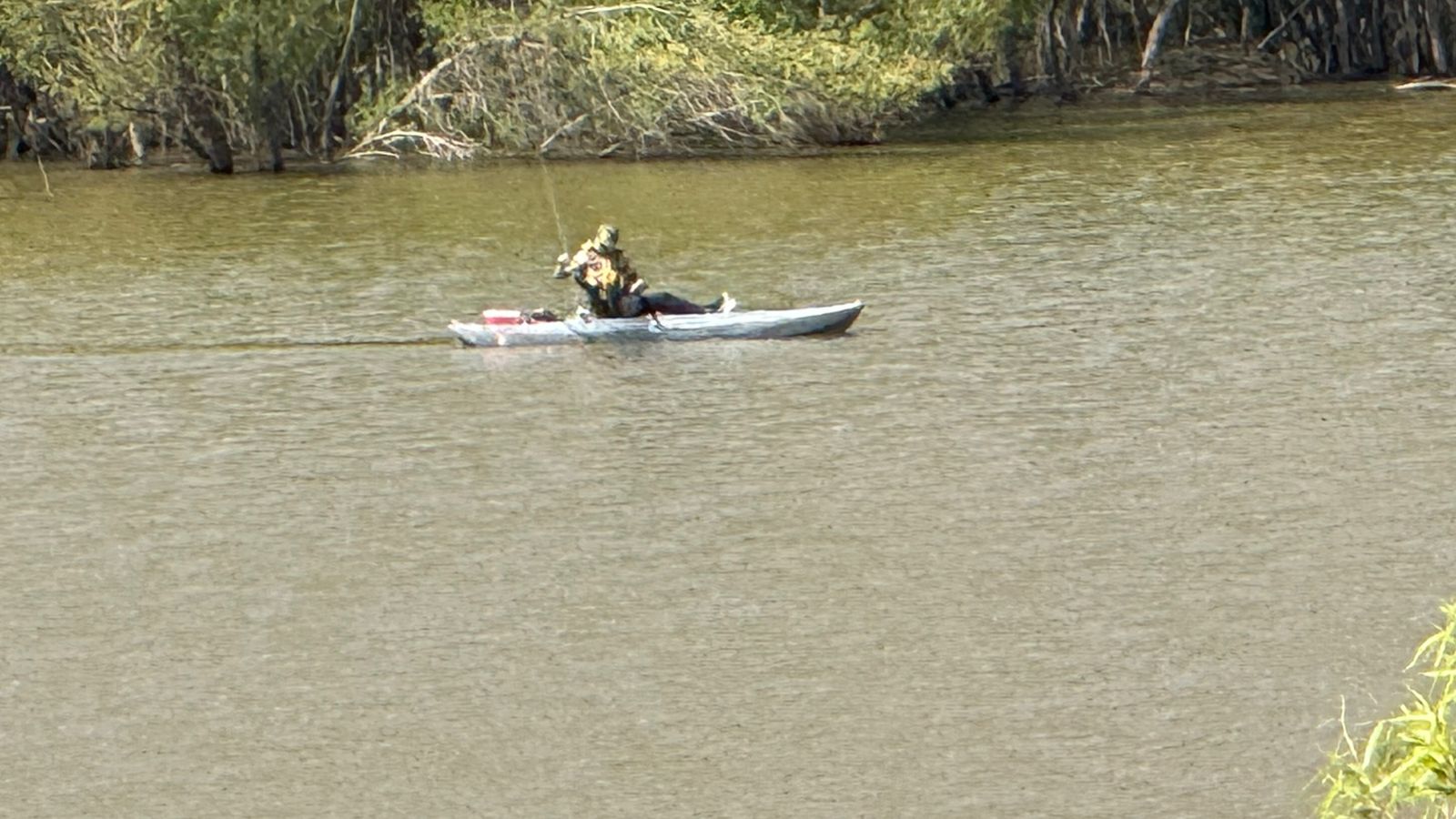 Pesca ilegal pone en riesgo la lobina