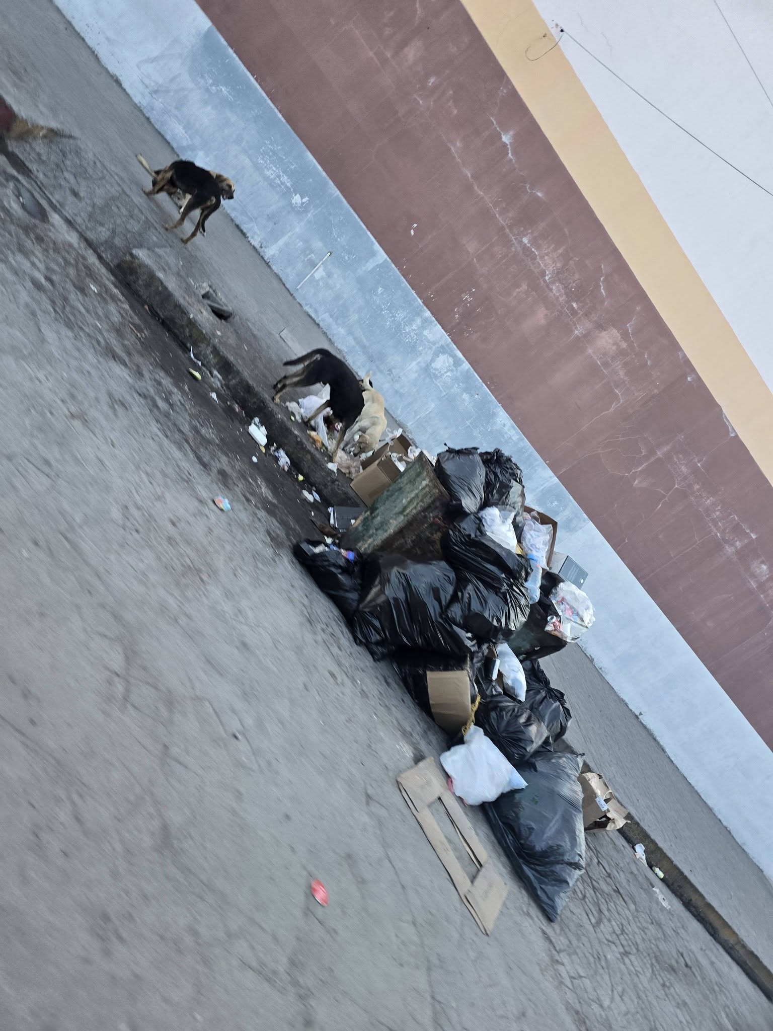 Advierten que tirarán la basura en casa de Ríos