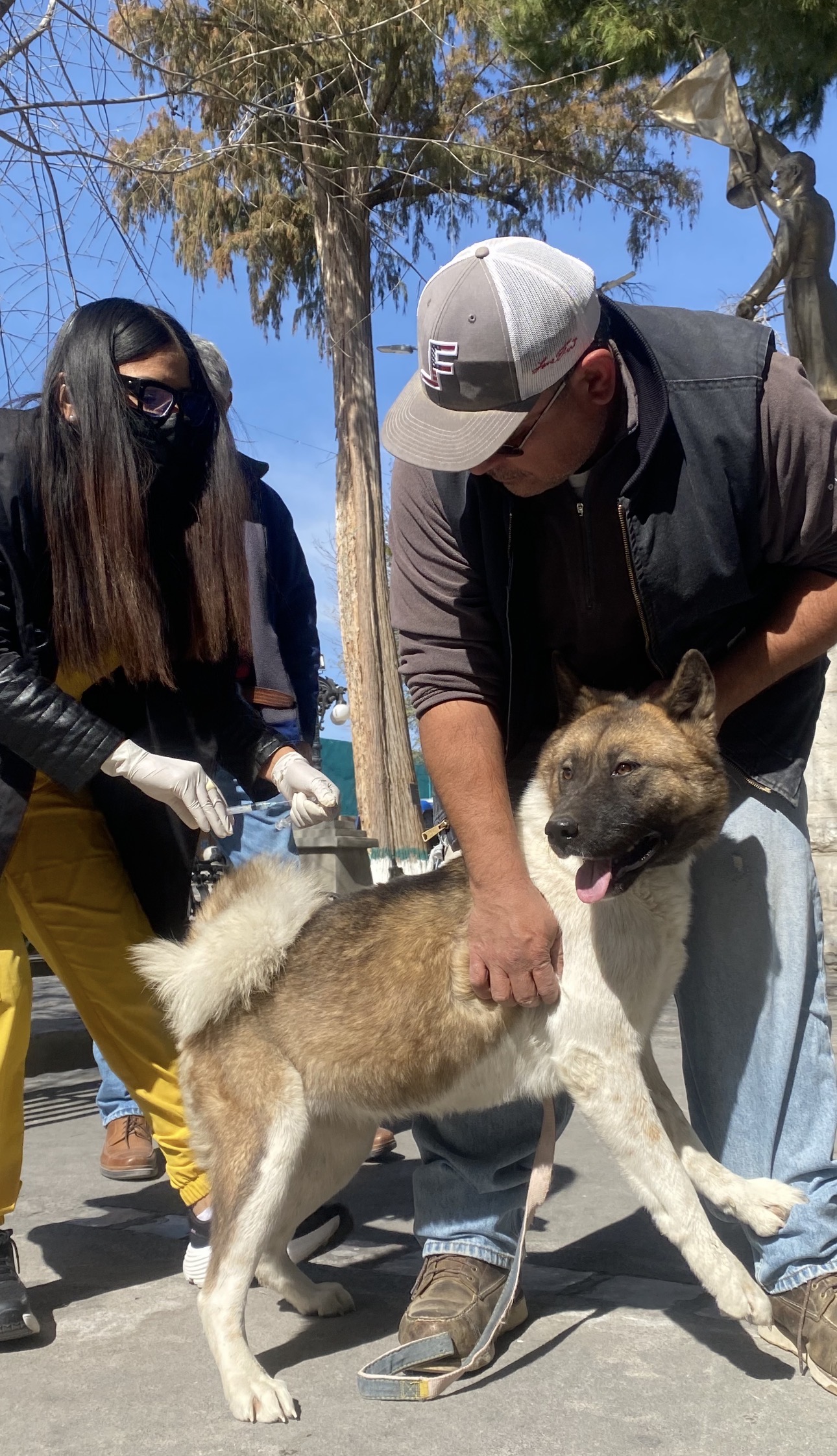 Invita San Buena a la campaña de protección y cuidado animal