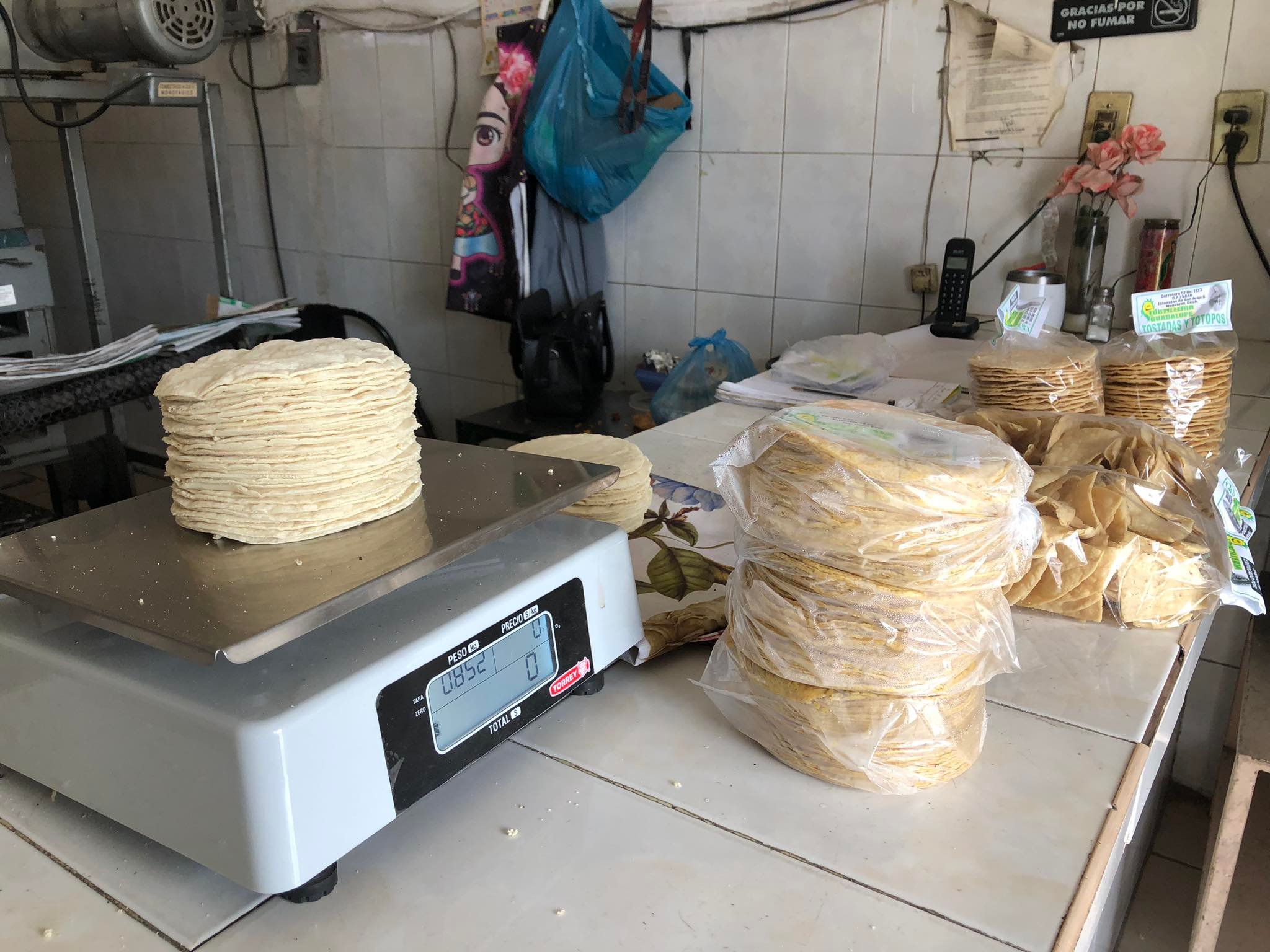 Aumentará la tortilla de maíz; llegará a 32 pesos