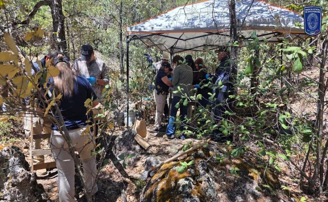 Hallan rest0s óse0s calcinados en Bocoyna, Chihuahua; investigan posible fosa clandestina