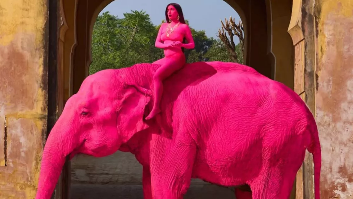 Elefante pintado de rosa m*ere tras sesión fotográfica; investigan posible maltrato