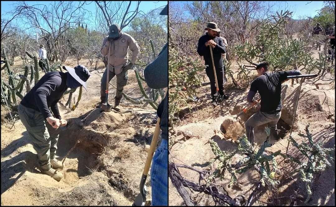 Localizan cinco fosas clandestinas con 10 osamentas humanas en BCS; intensifican búsquedas en zona norte