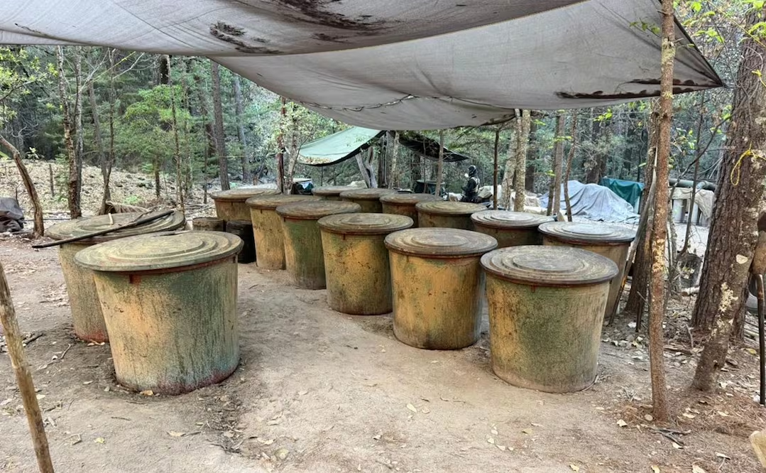 Aseguran dos laboratorios de aparente producción de dr*ga sintética en la sierra de Chihuahua; localizan campamento con víveres
