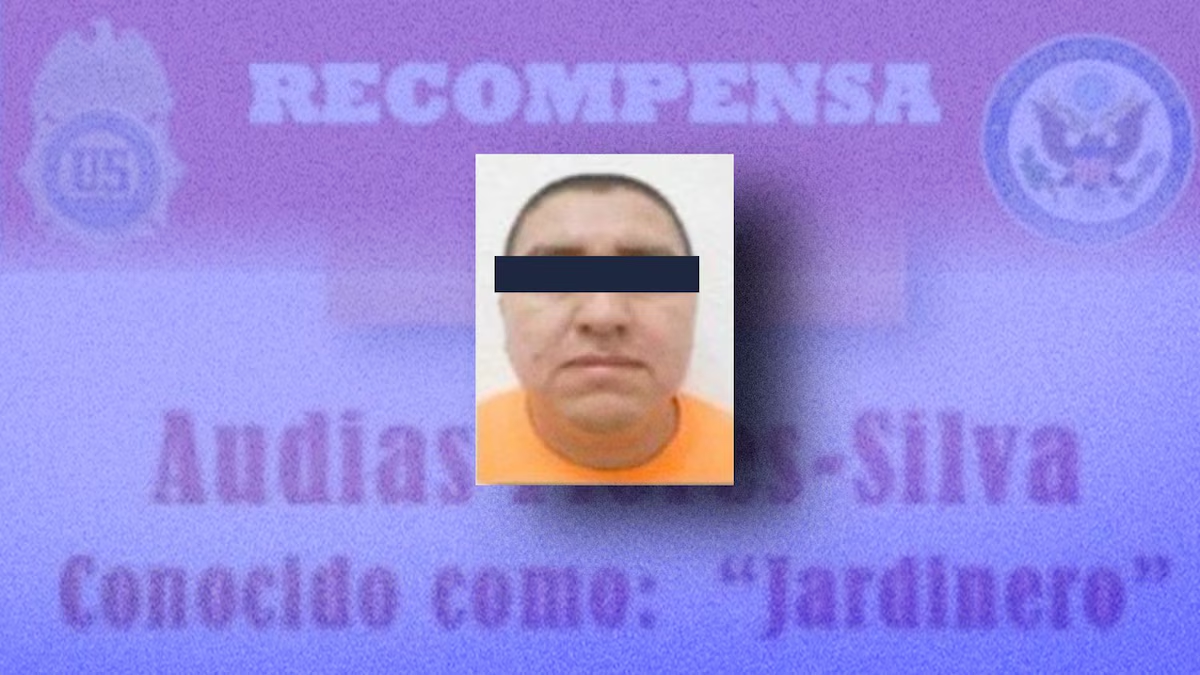 Golpe al CJNG: Detienen a Audias Flores Silva, alias ‘El Jardinero’, posible sucesor de ‘El Mencho’