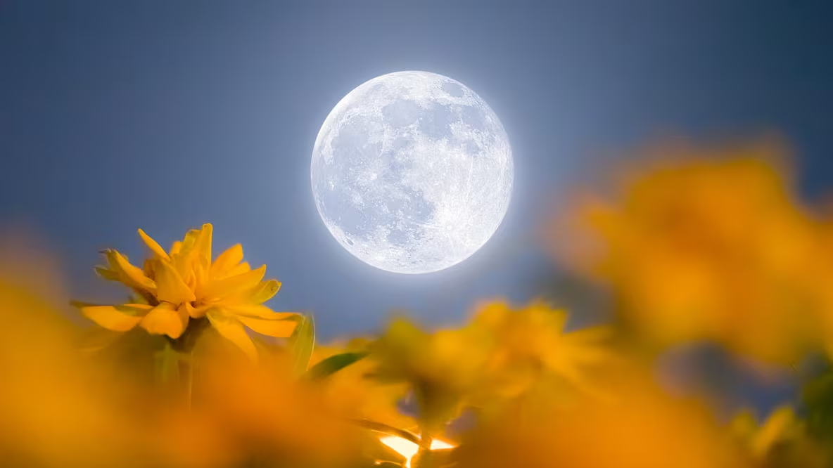 Luna de Flores 2026: ¿cómo ver la Luna llena de mayo?; sigue estos consejos prácticos