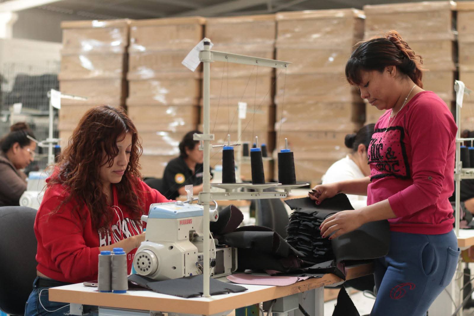 Oferta Daimay 100 vacantes