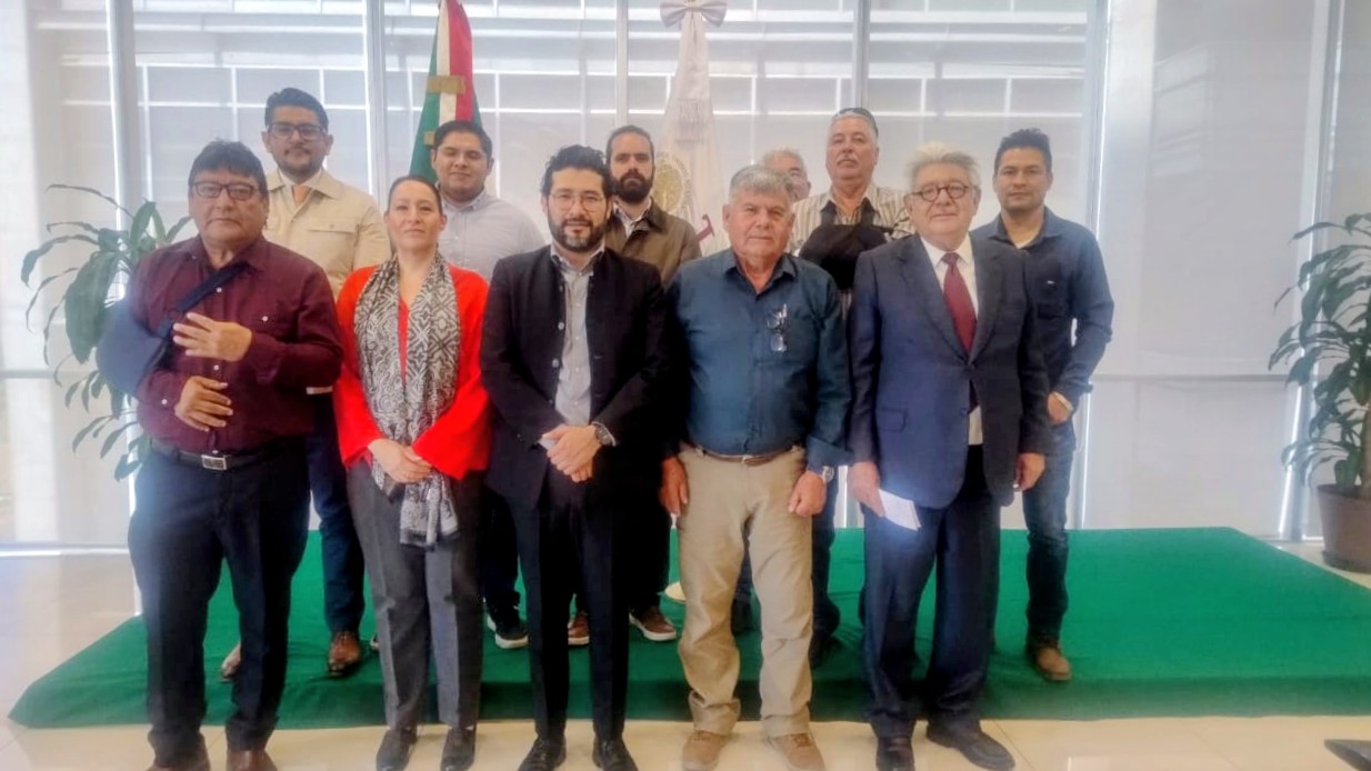 “Subasta de AHMSA no estará desierta”