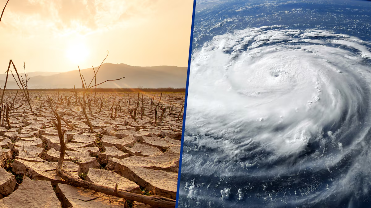 Ondas de calor, sequías y… huracanes más potentes: Así es El Niño ‘travieso’ que amenaza a México