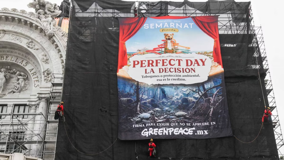 Semarnat negará permiso para ‘Perfect Day’ en Mahahual: ‘No se aprobará’