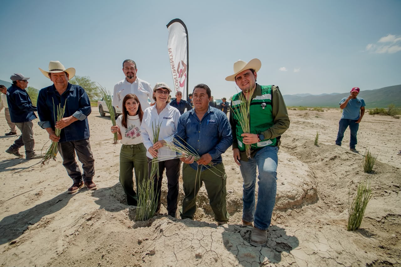 IMPULSAN RESTAURACIÓN ECOLÓGICA EN LA LAGUNA