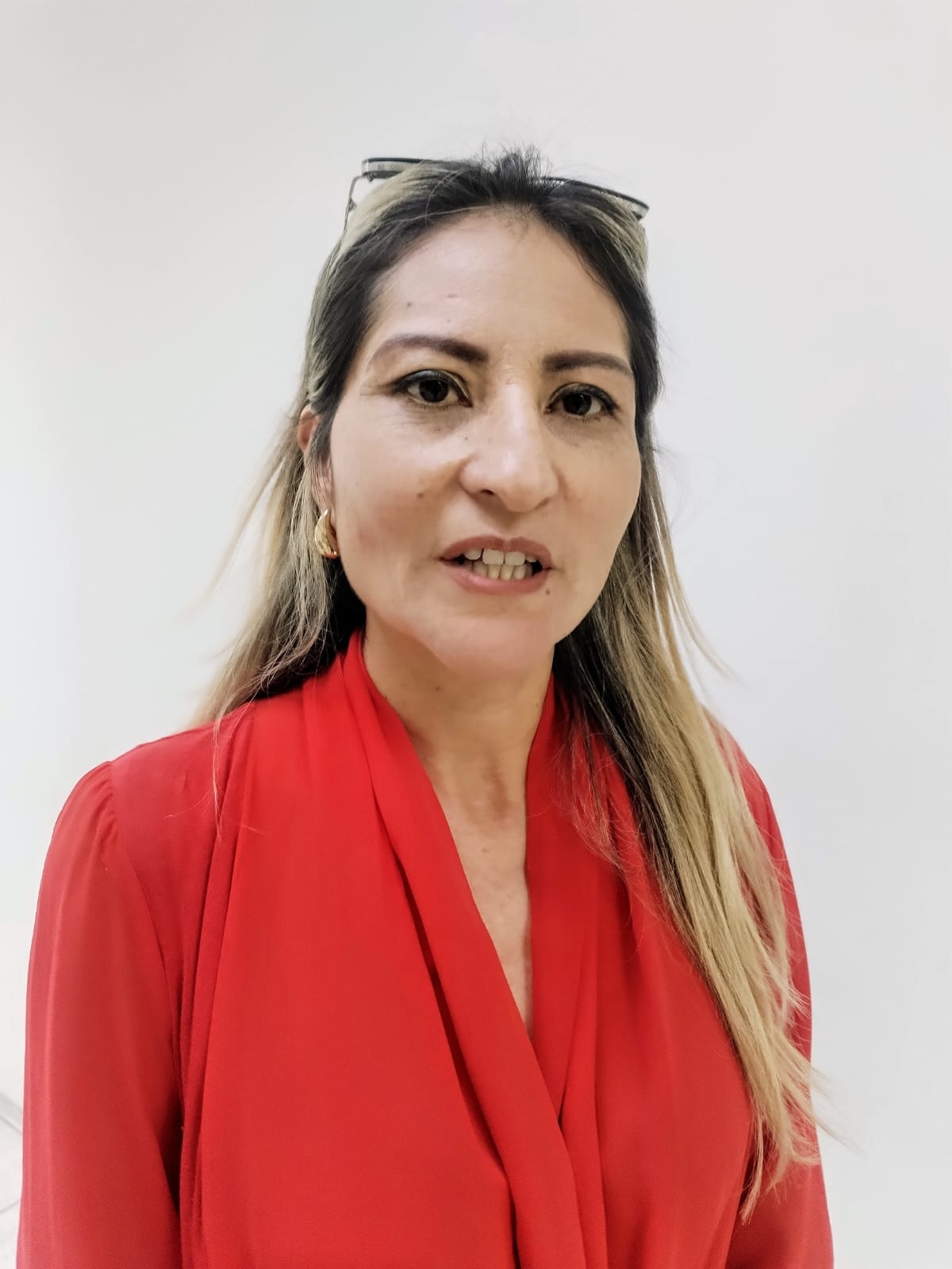 Aplazan recursos legales la venta de Altos Hornos
