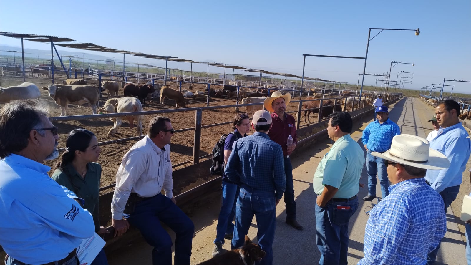 Más cooperación internacional por la sanidad animal con inspección técnica
