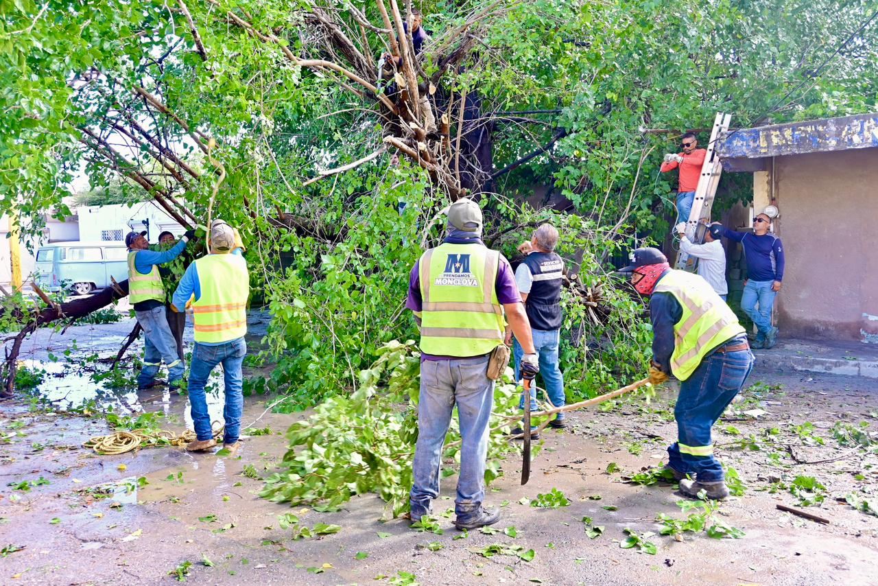 Tras lluvias, arranca Carlos rehabilitación