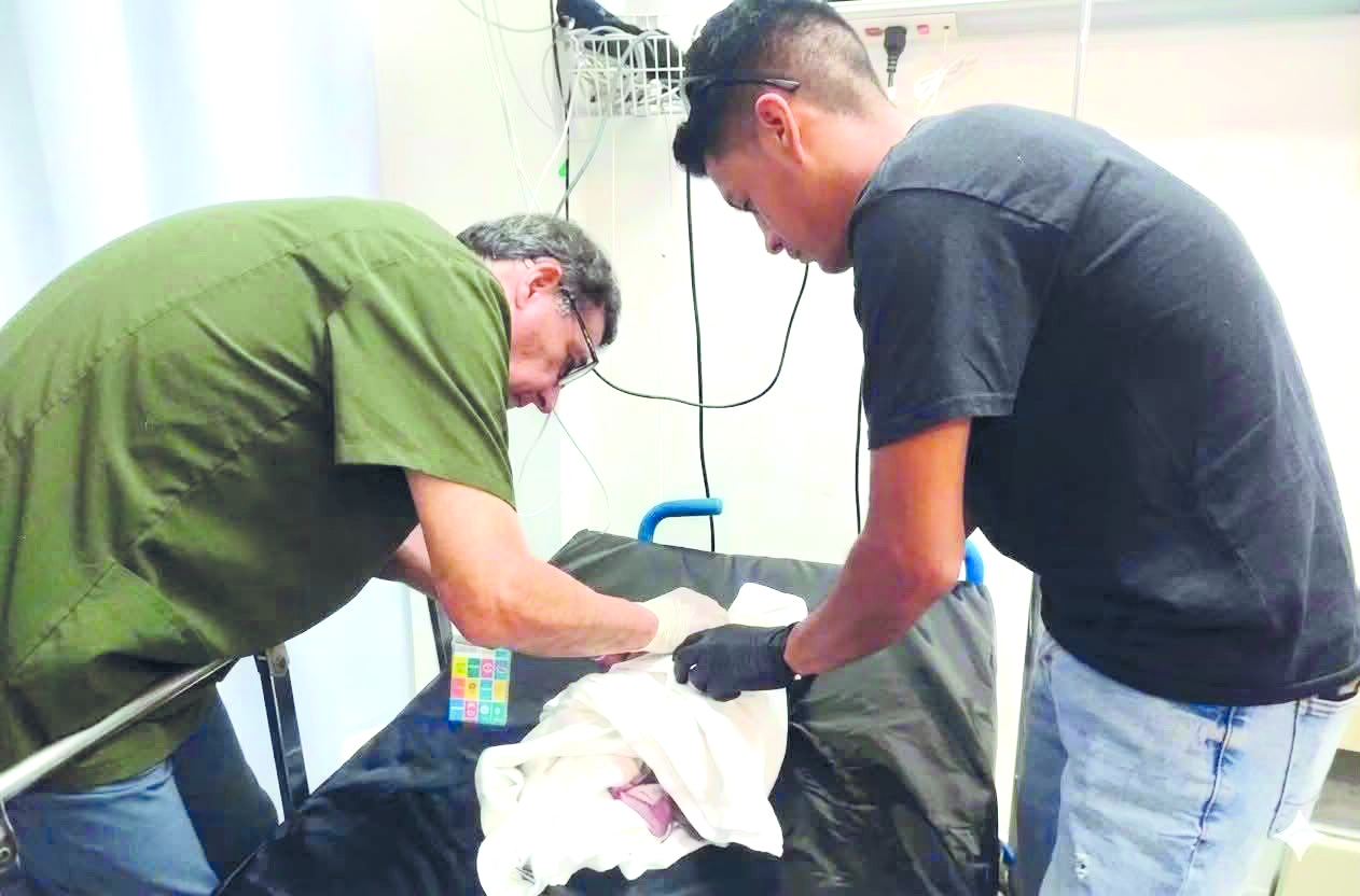 Pronnif se hace cargo del bebé abandonado
