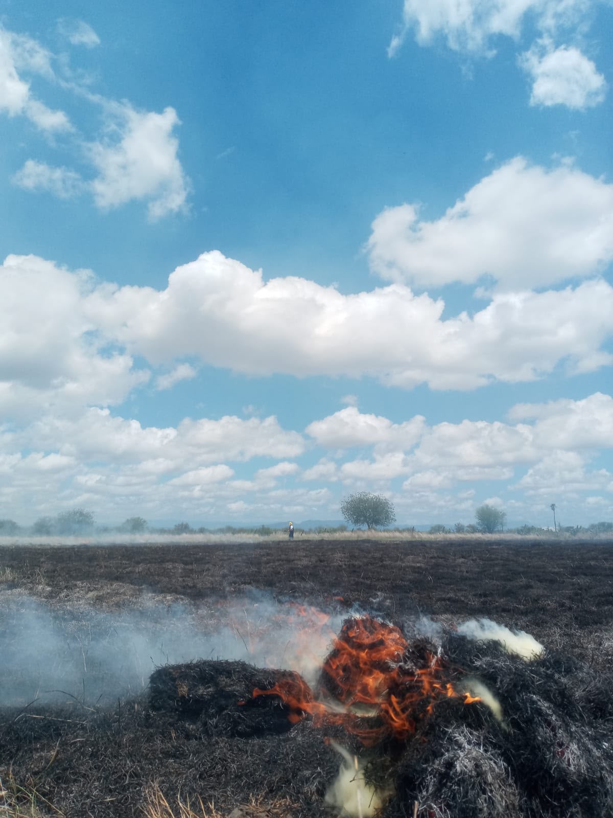 Pone en riesgo a familia incendio en un rancho