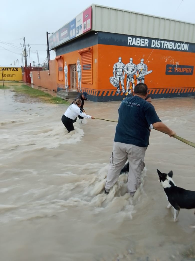 ANTE TORRENCIALES, PRIORITARIA LA PROTECCIÓN A NIGROPETENSES