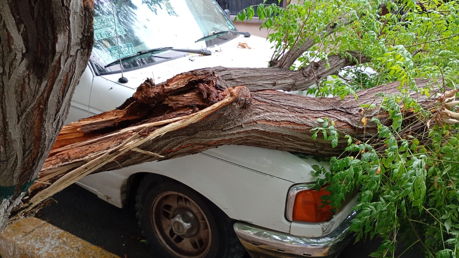 Afectan aguaceros 2 casas en San Buena