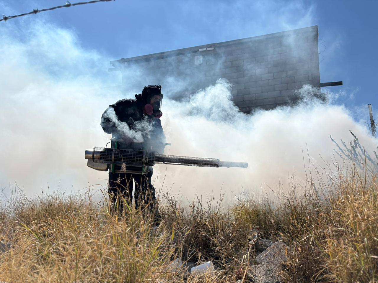 Se contagio en Monterrey mujer que falleció de dengue