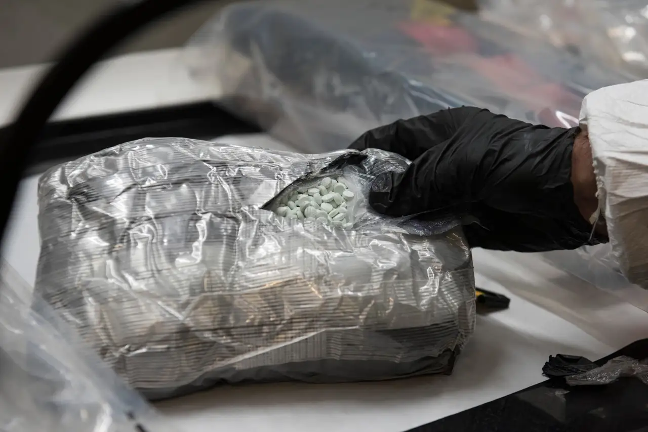 Imparable el mercado mundial de drogas: ONU revela que hay más consumo y nuevas sustancias