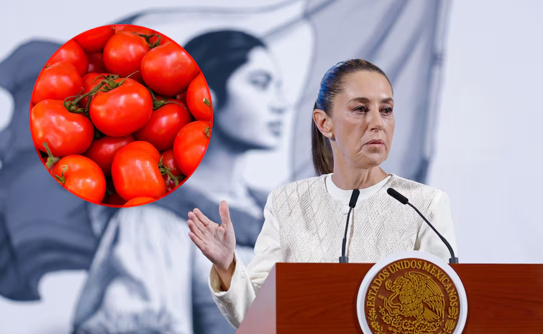 Sheinbaum adelanta reunión para reducir el precio del jitomate en México