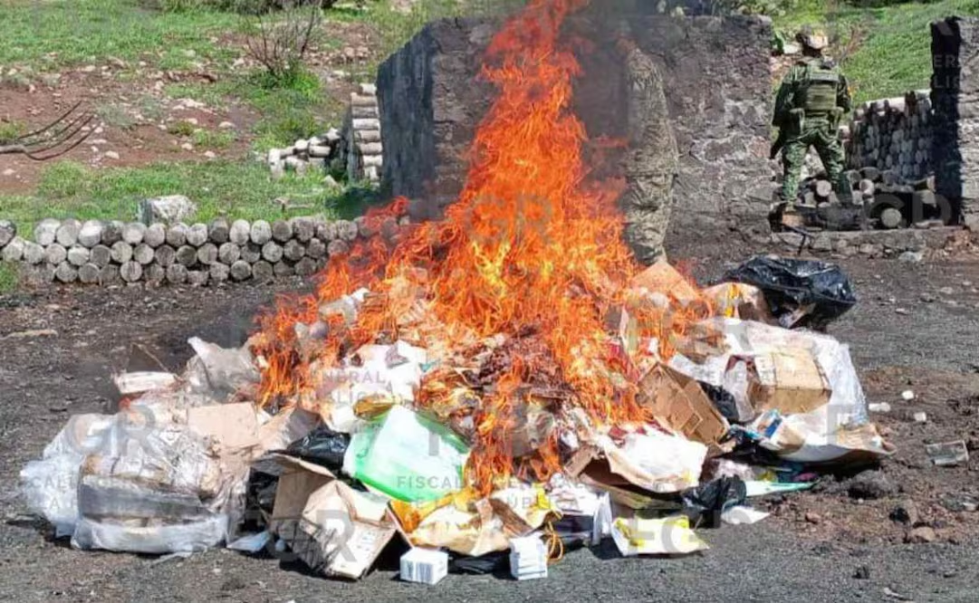FGR destruye 179 kilos de drog4 y más de 9 mil psicotrópicos; incineración se realizó en Campo Militar del Edomex
