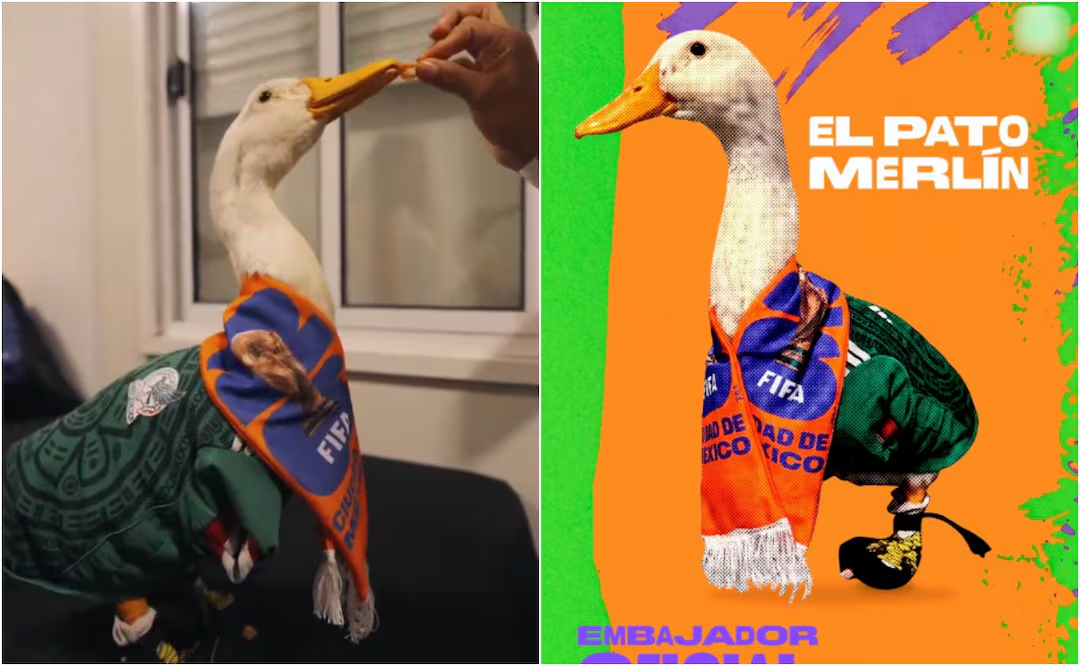FIFA anuncia al pato Merlín como embajador oficial; usuarios exigen regalías para la familia
