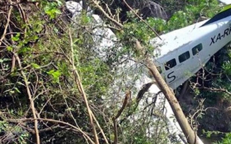 PERCANCE DE AERUS POR COLISIÓN CONTRA PÁJAROS
