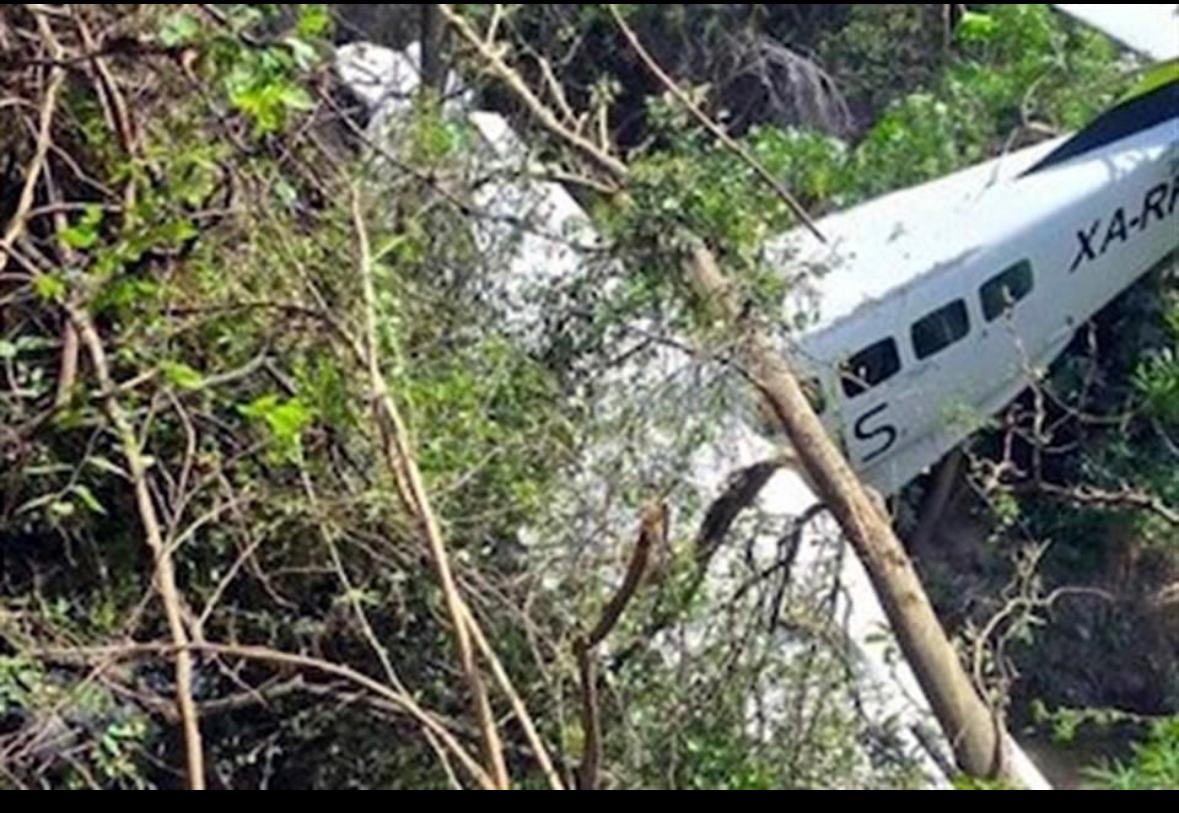 PERCANCE DE AERUS POR COLISIÓN CONTRA PÁJAROS