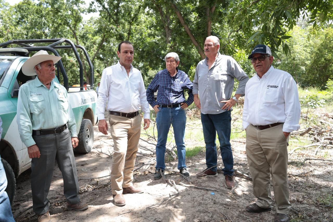 Detectan y derriban nogales infectados