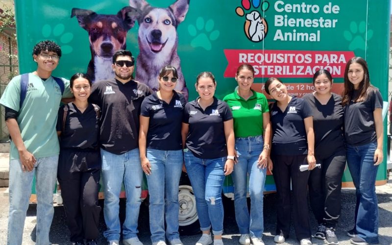 Esperan familia 21 mascotas rescatadas