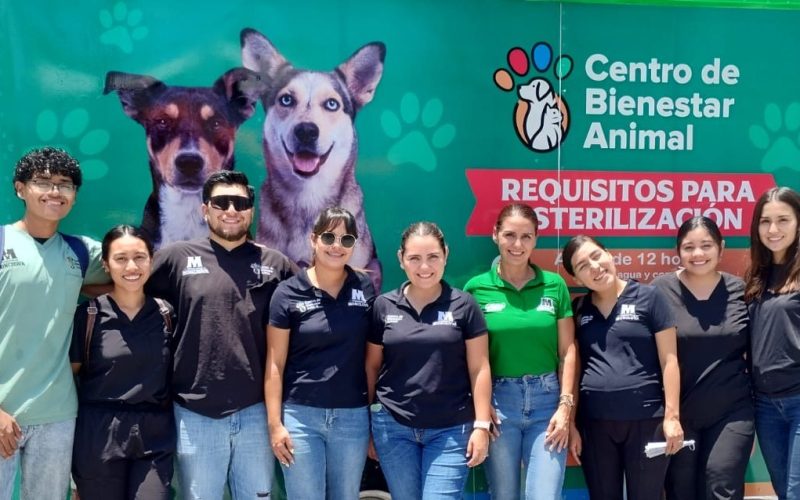 Esperan familia 21 mascotas rescatadas